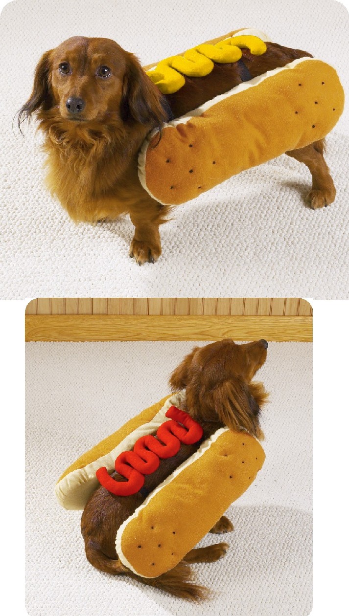 Pic of the day Hotdog10