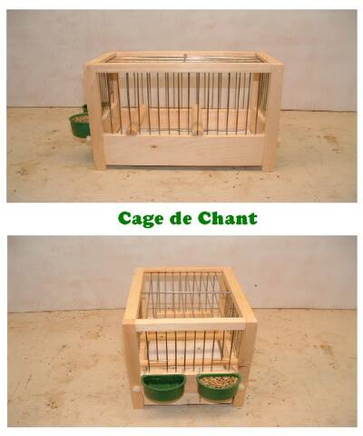 Cage de chant