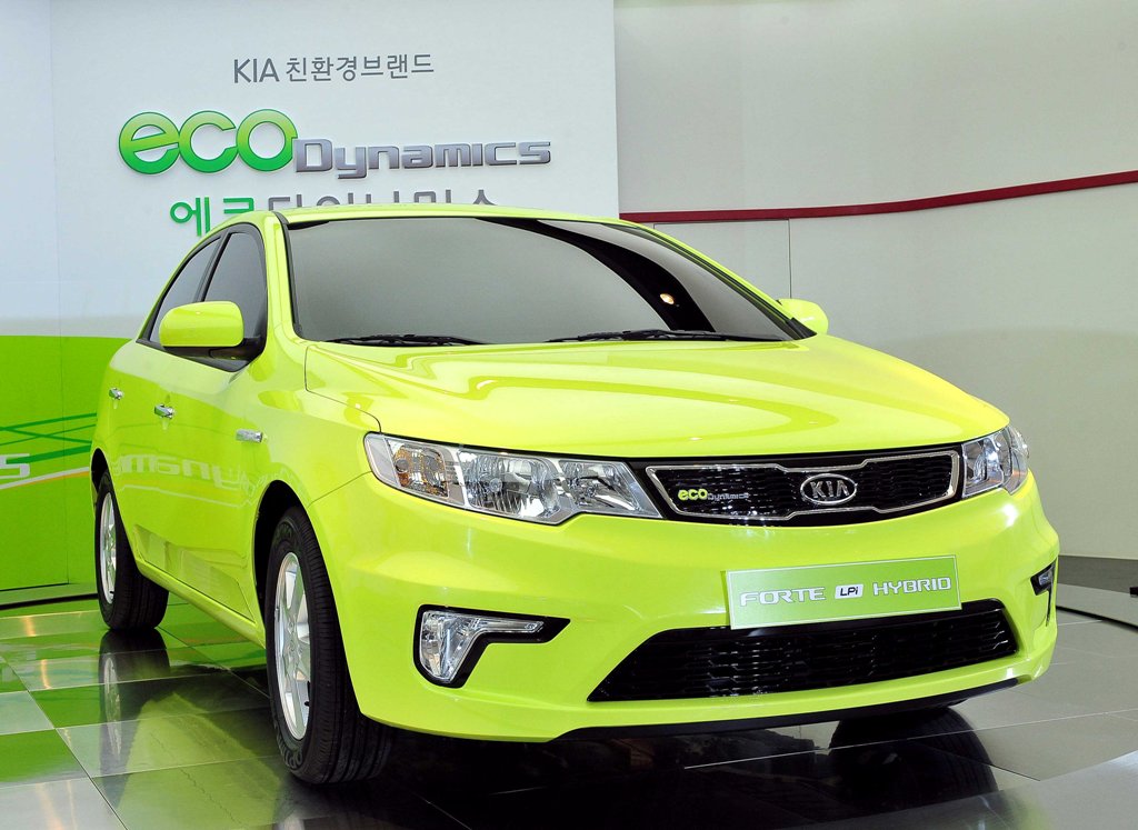 Face off between two colour Forte Kia-fo12