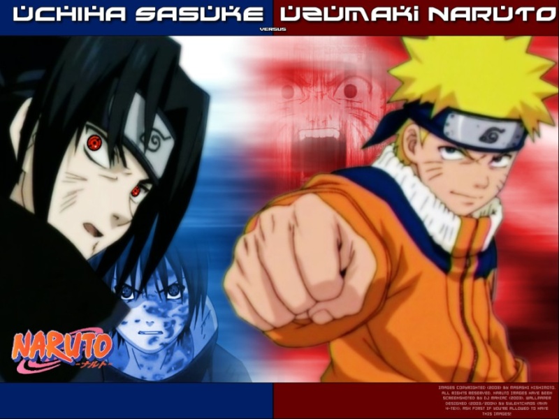What Is Your Favorite Naruto Battle? 2007-011