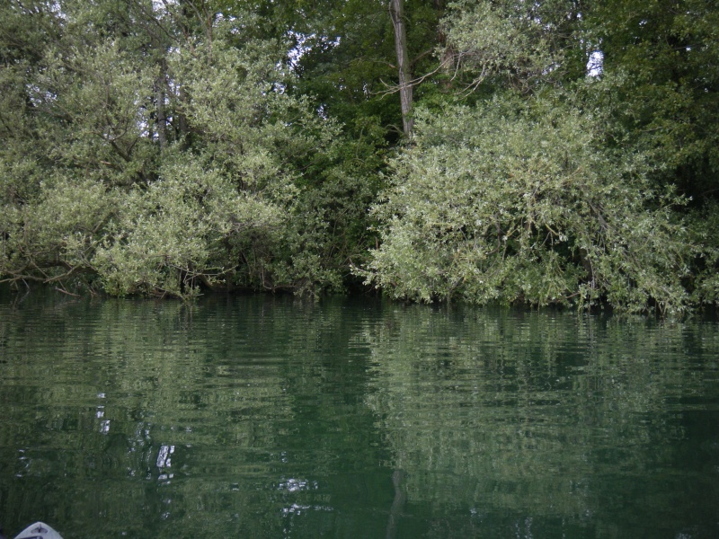 sortie peche en Kayak sur Miribel Jonage plan d'eau du Rhône Ascens14