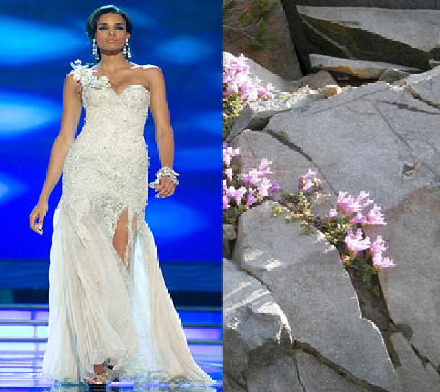 Gown review in miss universe 2009 Godo11