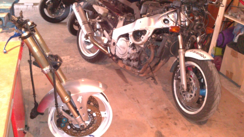 1000 exup Dsc_0015
