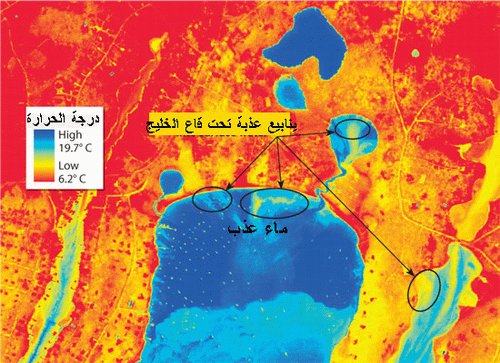 عندما يلتقي النهر العذب بالبحر المالح Uuo_ou16