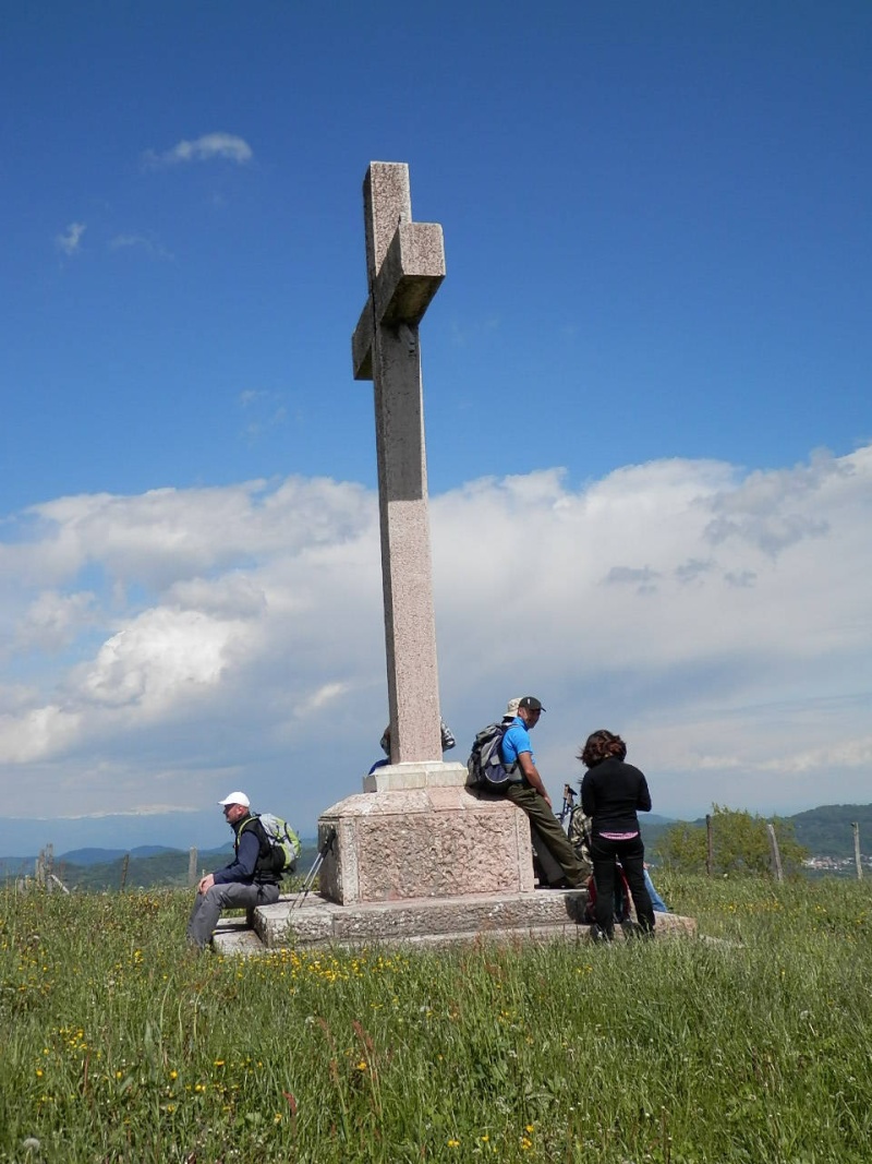 ESCURSIONE DEL 26/05/2013 in Val d'Illasi da Sant'Andrea a Sprea e a San Bortolo delle Montagne con la Festa dei Trombini P5260111