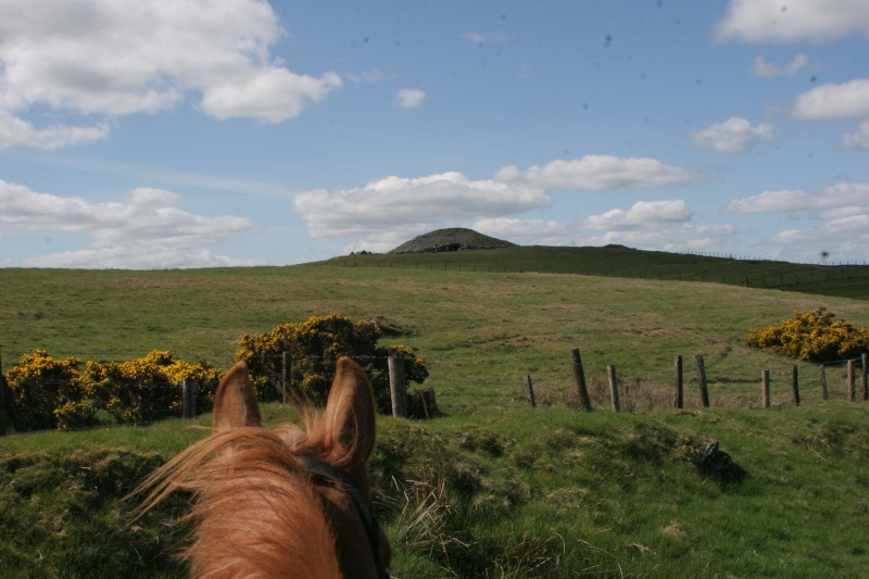 Sejours linguistiques + equestres en Irlande Trekad10