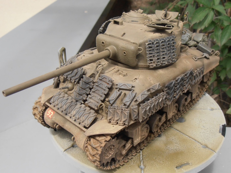 Sherman M4A1 76mm polonais ( Termine ). P6232511