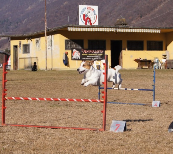 ... E L'AVVENTURA CONTINUA.... - Pagina 2 26_01_15