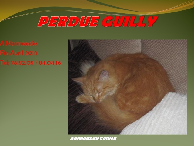 PERDUE GUILLY chatte rousse et blanche poils longs à Normandie fin Avril 2013 20130430