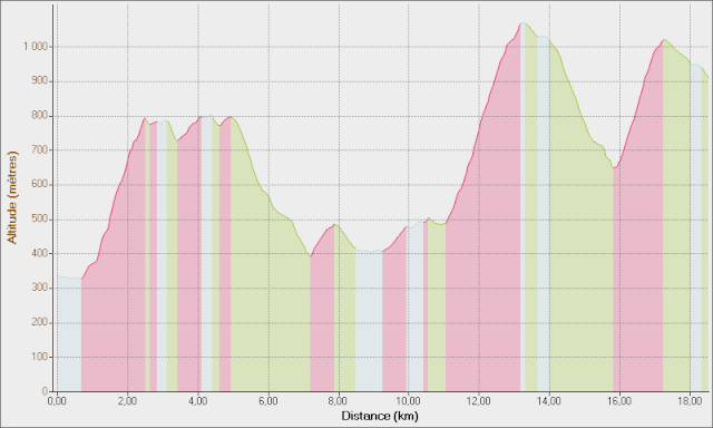 2013 - Lebabas prépare l'UTMB 2013 ! - Page 3 Course10