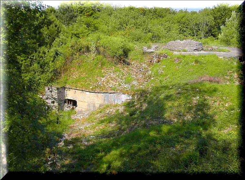 FORT DE LIOUVILLE MAI 2013 A_10110