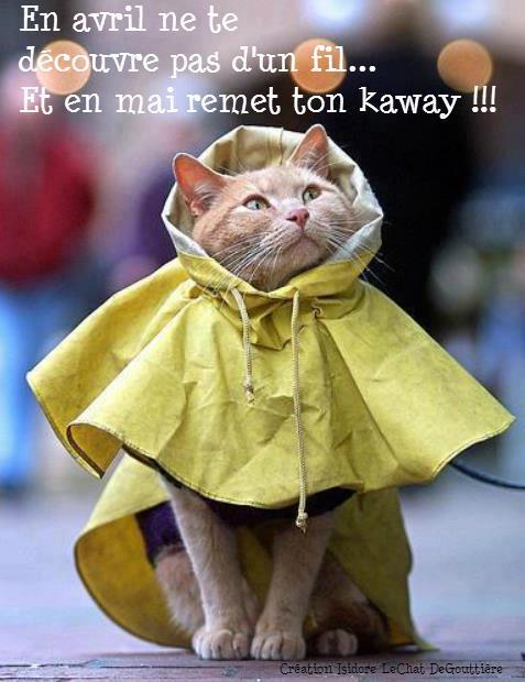 Histoire d'animaux en image. - Page 3 Kaway10