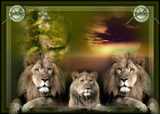 Los tres leones