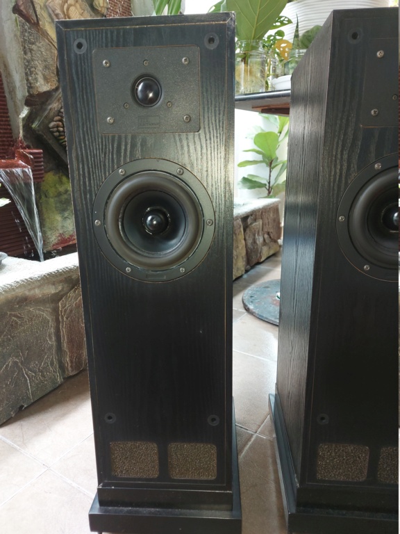 TDL 0.5 Studio Floorstanding Speaker 20230811