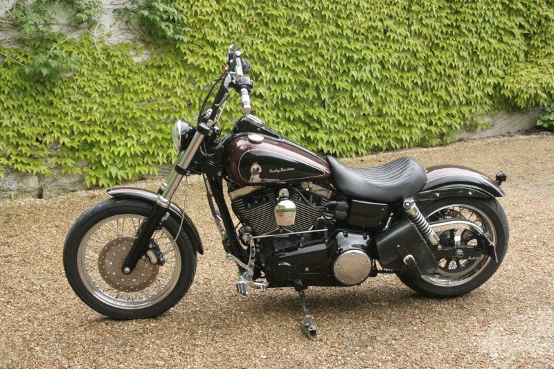 Nouvelle robe pour Street Bob - Page 2 _mg_9315