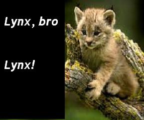 Best poetry you have read? Lynx10