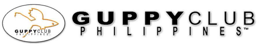 GCP Banner10