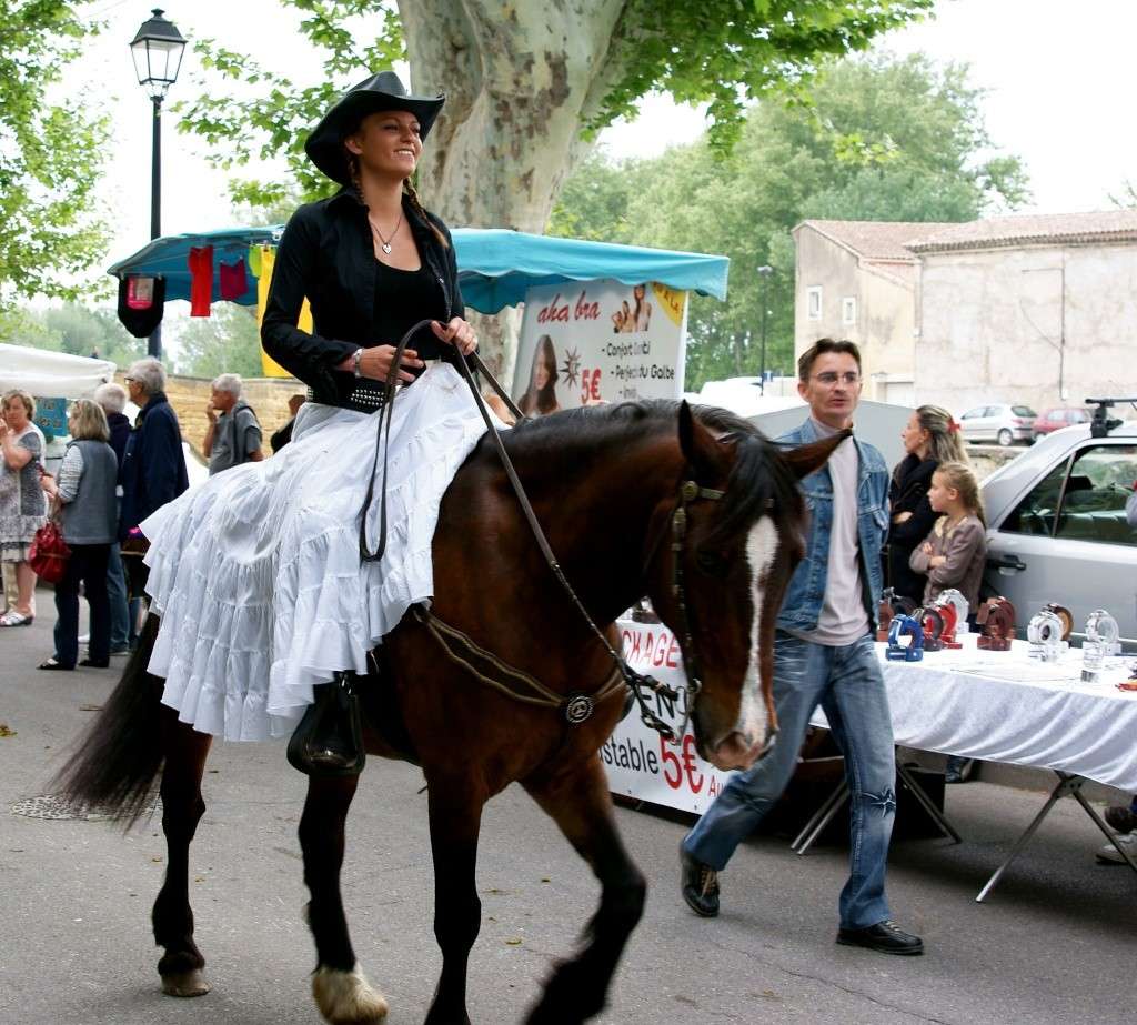 Foire aux chevaux de Bédarrides Dsc02636