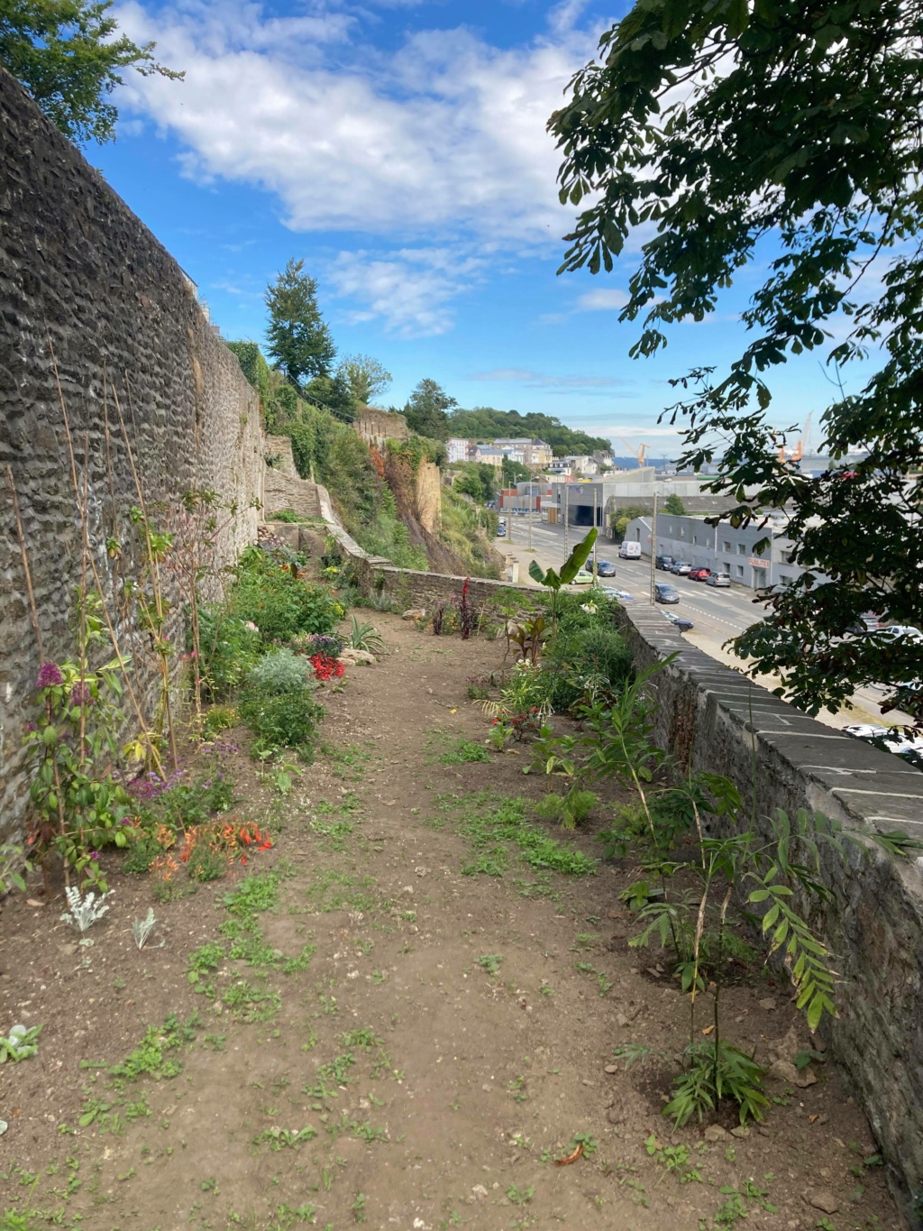 Jardin extraordinaire sur les falaises de Brest 10927710