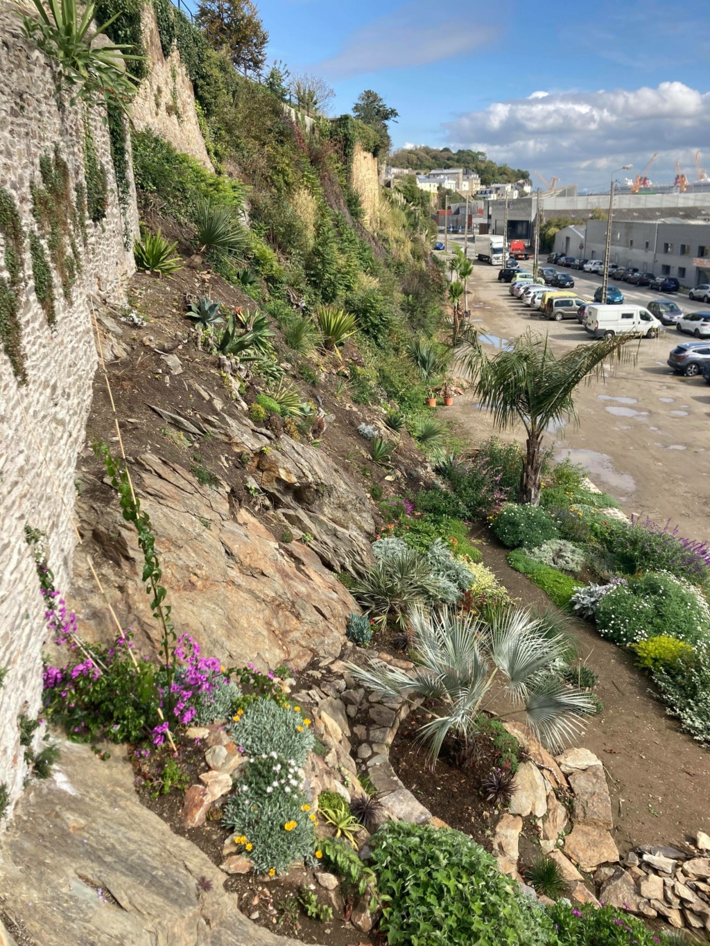 Jardin extraordinaire sur les falaises de Brest 12019910