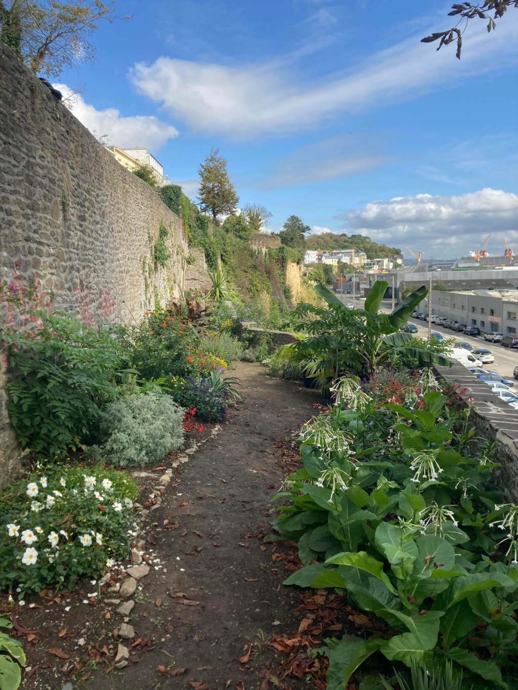 Jardin extraordinaire sur les falaises de Brest 12026010