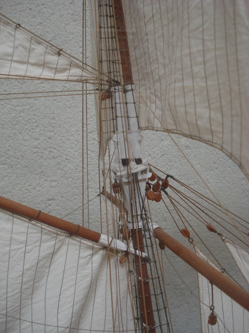 Musée de la Mer de Paimpol 11910