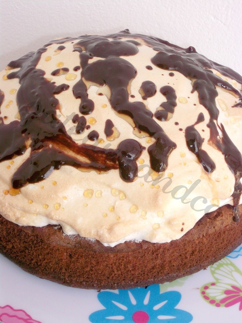 gâteau au chocolat meringué Photo_16