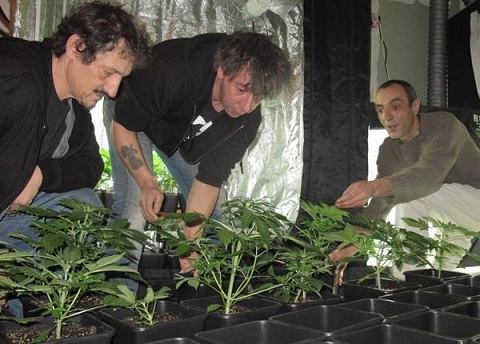 France - Dissolution de la Fédération des Cannabis social club 27017410
