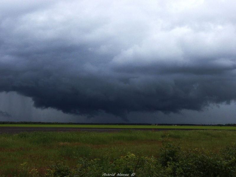 Chasse dans le Sud-Ouest Gironde - 17 Mai 2013 P1060610