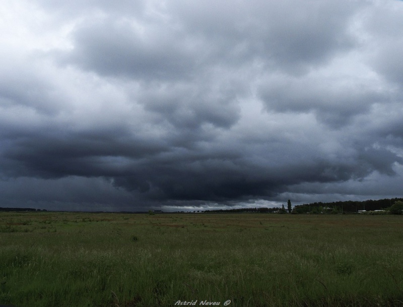 Chasse dans le Sud-Ouest Gironde - 17 Mai 2013 P1060615