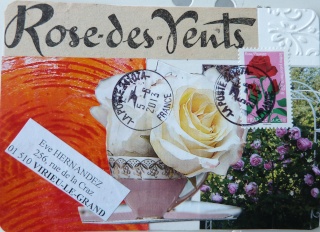 Galerie Roses du jardin - Page 2 P1000724