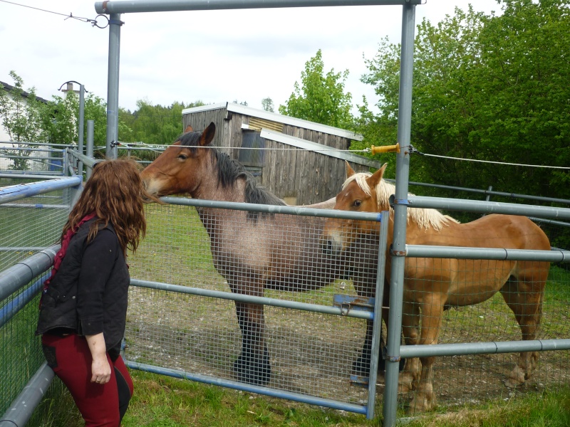 Dpt 43, CALIN111, ONC comtois - RESERVE PAR BRITTA (en Allemagne) (Avril 2013) - Page 3 P1090427