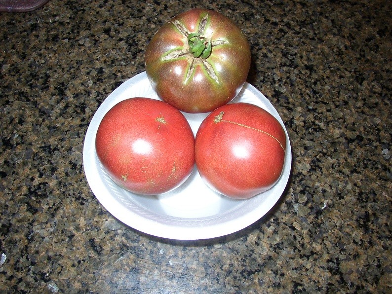 Got my 1st tomatoes today P1010049