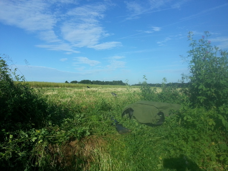 petite sortie ce matin a la corneille - Page 19 20130628