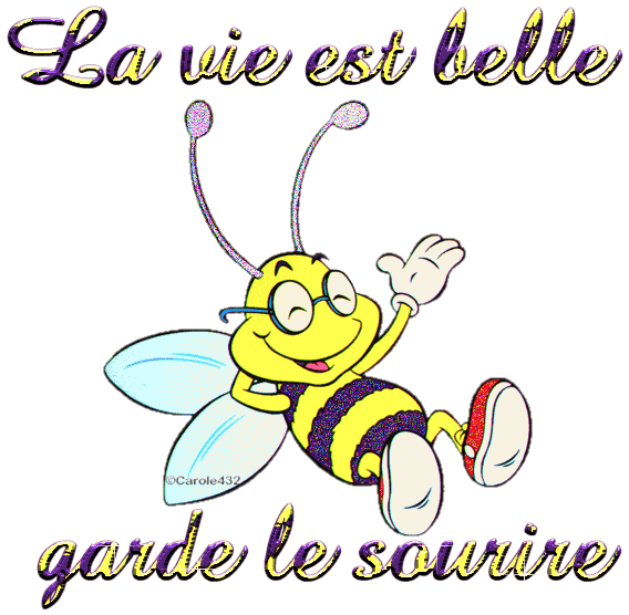 Votre Animal Totem Abeill10
