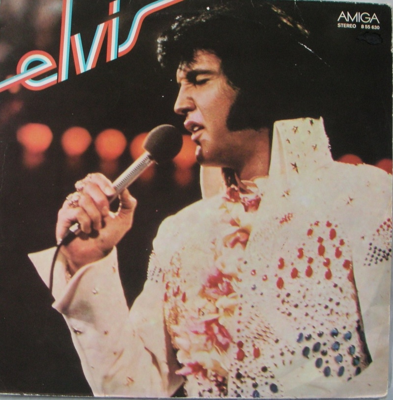ELVIS 1_ddr_10