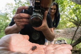 7éme Weekend Arachnologique : Haut-Rhin (68)  69948710