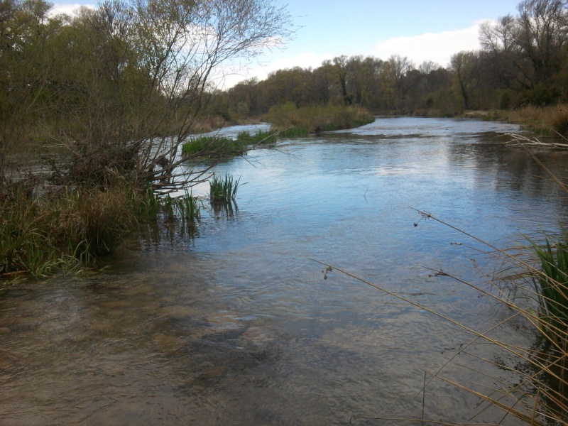 Re-sortie en Provence 2013-010