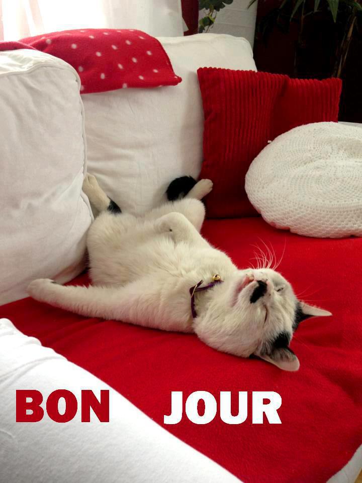 un petit coucou pour la journée ca fait plaisir - Page 6 Bonjou10