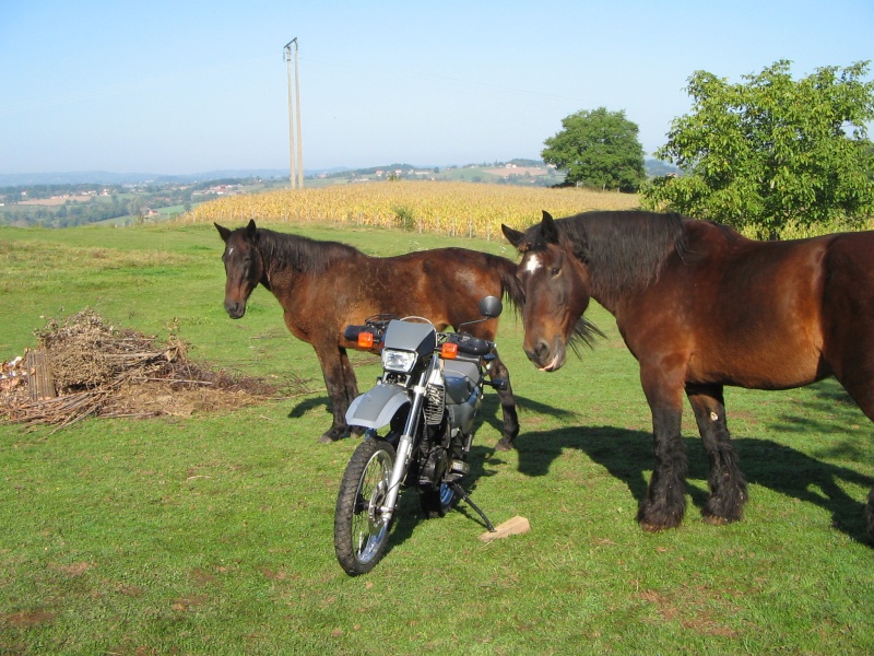 Le concours de Mai 2013: "Votre moto et les chevaux." - Page 2 Xt_et_11