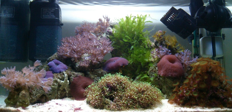 Nano 26l débutante - Page 10 Image13