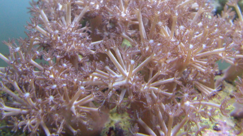 Nano 26l débutante - Page 10 Image18