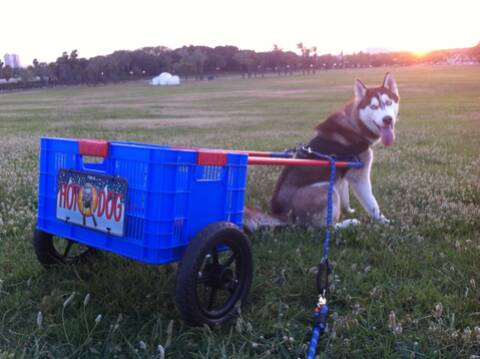 HOME MADE PULL CART