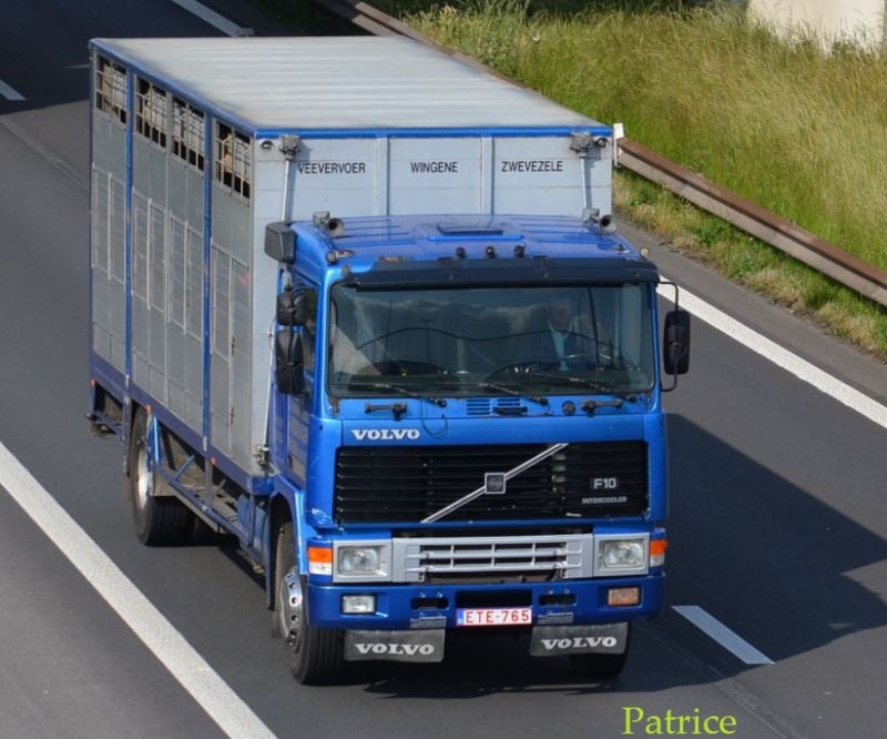 Volvo F 10,12 et 16. - Page 2 191pp11