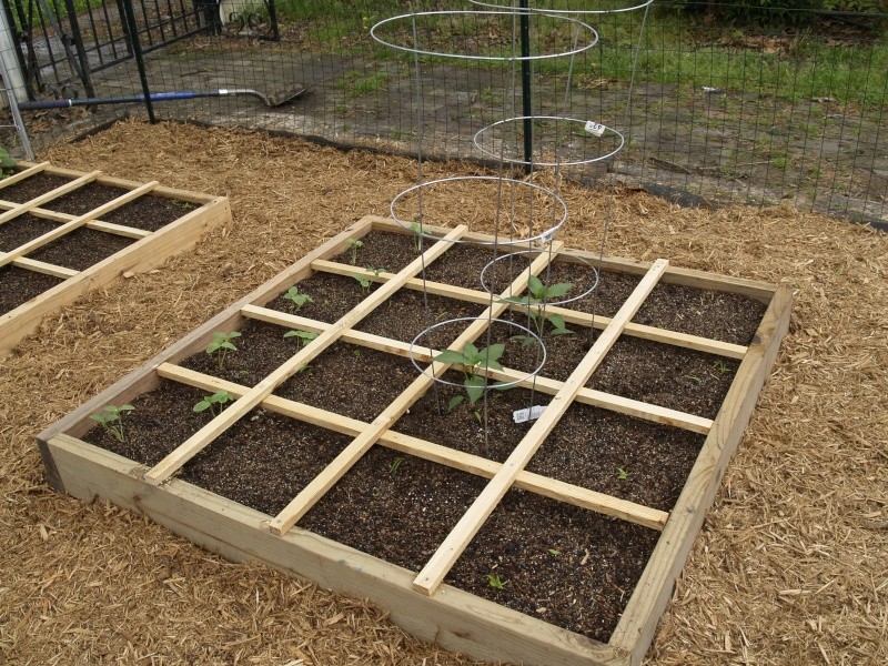 Brand New SF Garden!!! Thanks for looking! May_1s12