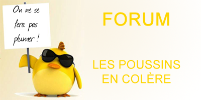 Creer Un Forum Les Poussins En Colere