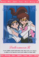 Changements dans ce que je revends: Sailor Moon et autres Sm_her29