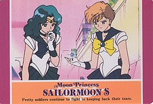 Changements dans ce que je revends: Sailor Moon et autres Sm_her53