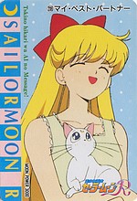 Changements dans ce que je revends: Sailor Moon et autres Sm_r_p21