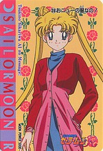 Changements dans ce que je revends: Sailor Moon et autres Sm_r_p29